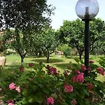 Residenza La Vigna 4* Parghelia