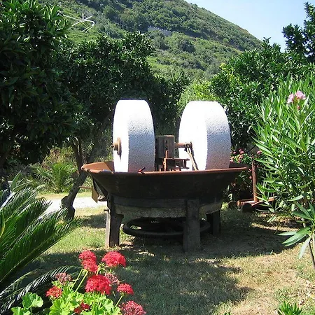 Apartmanhotel Residenza La Vigna Parghelia