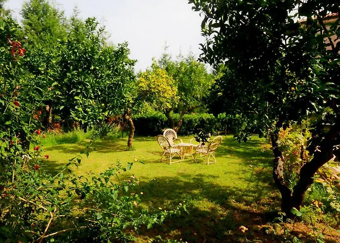 Residenza La Vigna מלון דירות