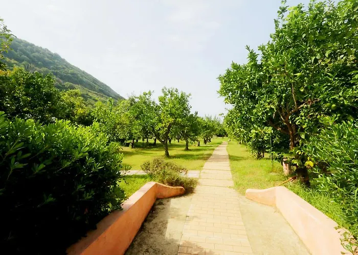 מלון דירות Residenza La Vigna פרגליה