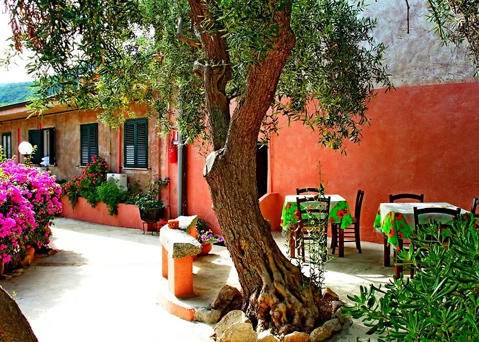 מלון דירות Residenza La Vigna פרגליה